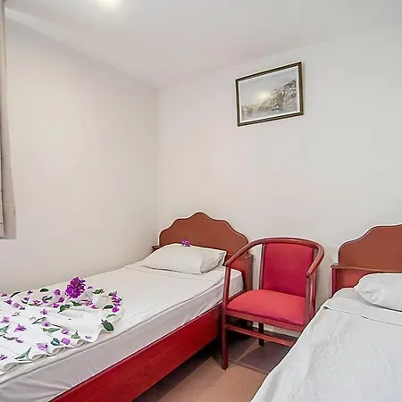 Wasa 3* Alanya