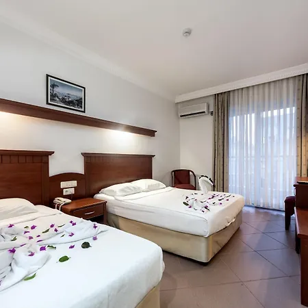 Wasa Hotel 3*