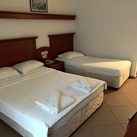 Wasa Alanya