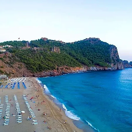 Wasa Alanya